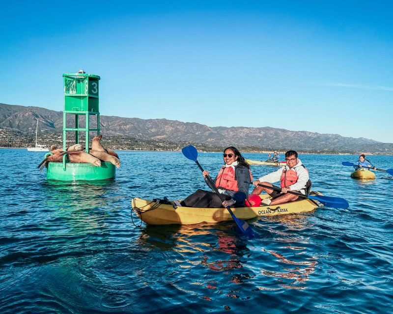 Santa Barbara Harbor: Wildlife Kayak Tour (2 Hours) - The Sum Up