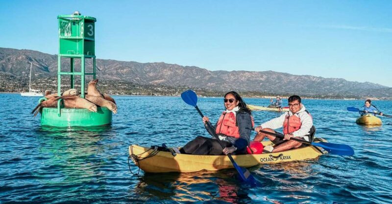 Santa Barbara Harbor: Wildlife Kayak Tour (2 Hours) - What to Expect from the Santa Barbara Wildlife Kayak Tour