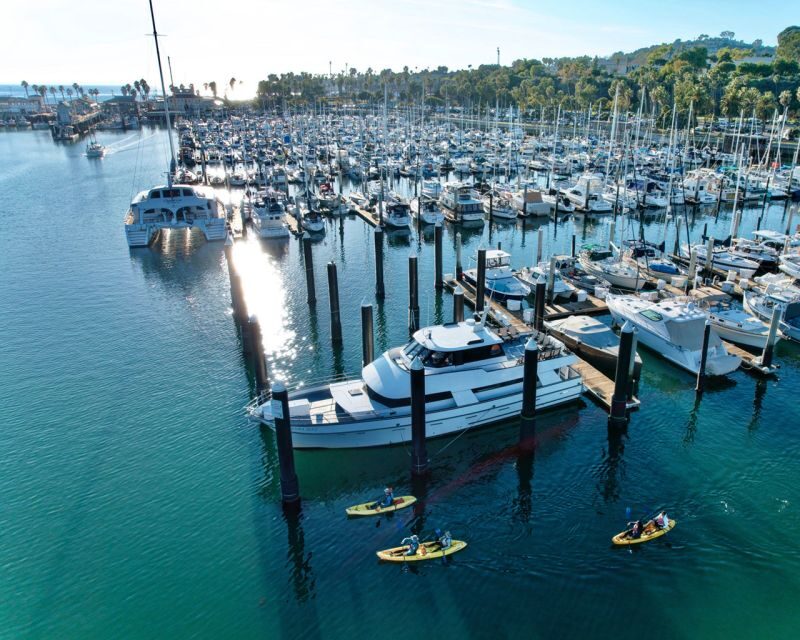 Santa Barbara Harbor: Wildlife Kayak Tour (2 Hours) - Is It Worth the Price? Analyzing Value