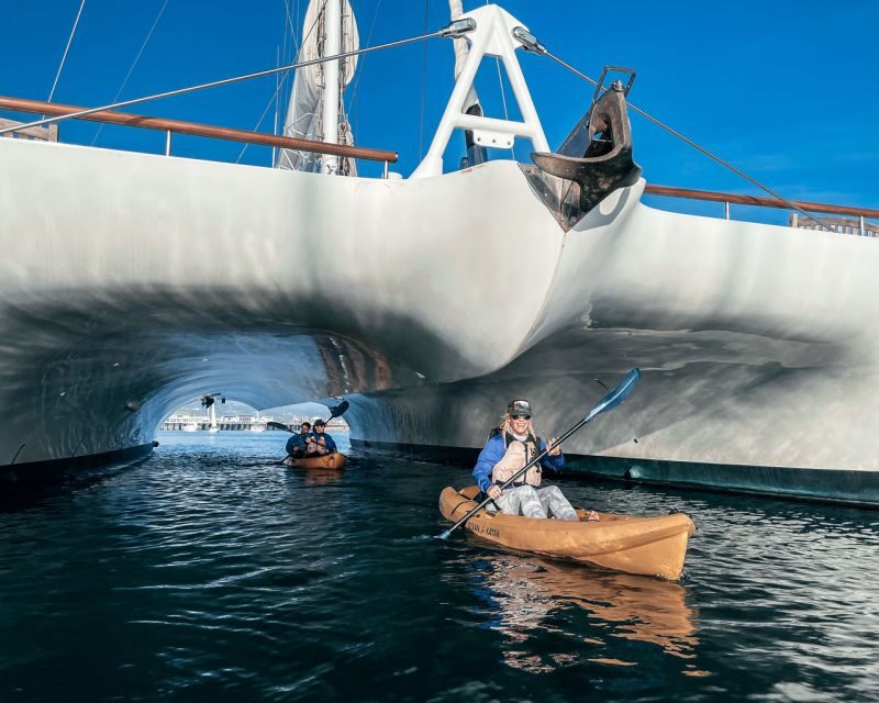 Santa Barbara Harbor: Wildlife Kayak Tour (2 Hours) - FAQ