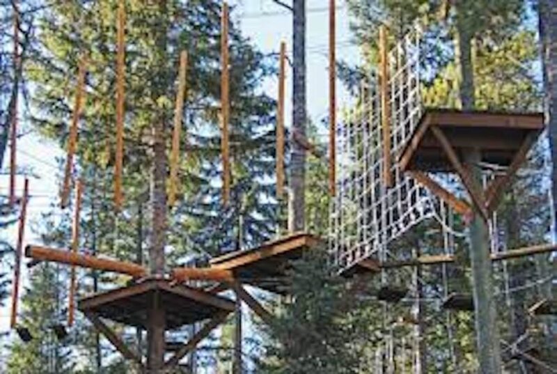 Santa Barbara: High Ropes Adventure Course - What Makes the Santa Barbara High Ropes Course Special?