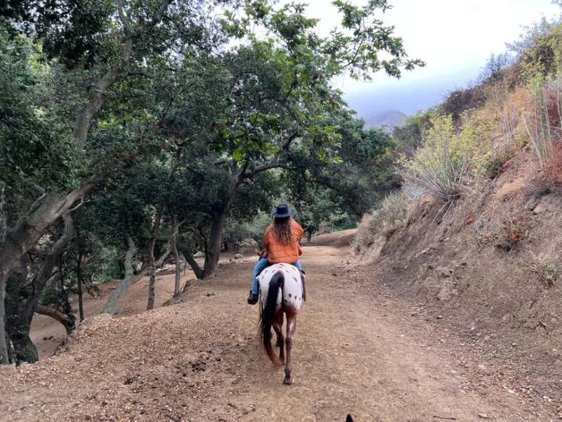 Santa Barbara: Horseback Riding and Wine Tasting Tour - Key Points