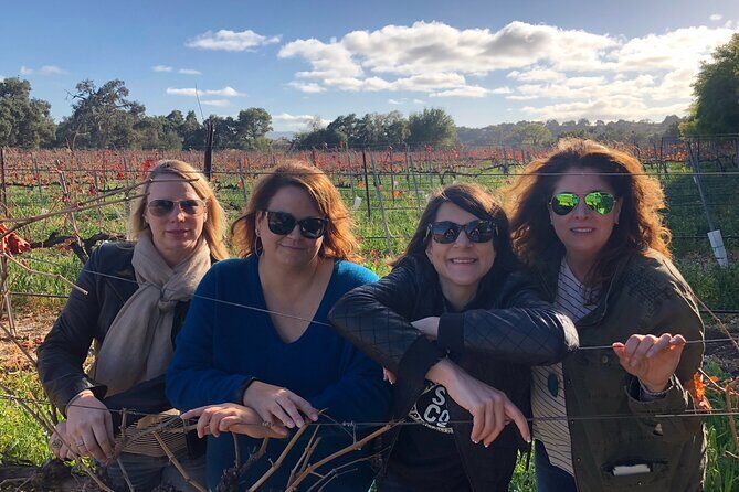 Santa Barbara/Santa Ynez Wine Tour (We Drive Your Vehicle) - Who Should Book This Tour?
