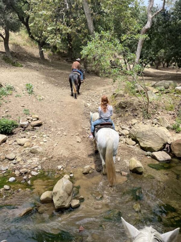 Santa Barbara: Scenic Canyon Horseback Riding Tour - A Ride into Santa Barbara’s Scenic Outdoors