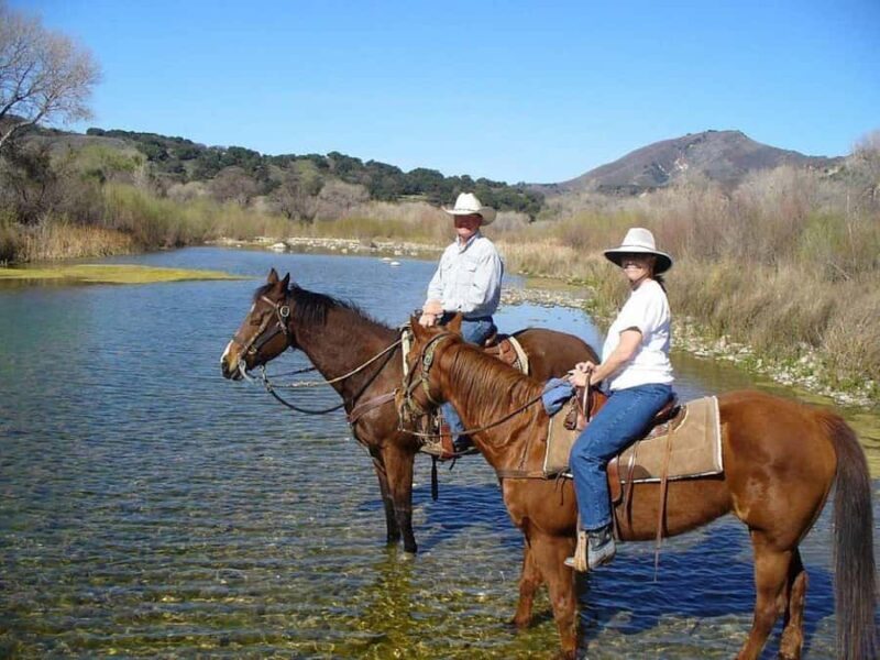 Santa Barbara: Scenic Canyon Horseback Riding Tour - Who This Tour Is Best For
