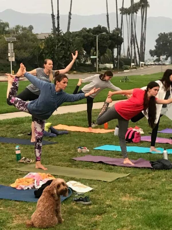 Santa Barbara: Surf, Yoga, Hike, Hot Springs, and City Tour - An In-Depth Look at the Santa Barbara Tour