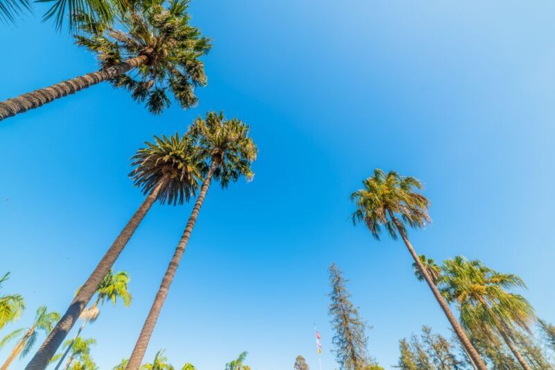 Santa Barbara: Wine, Chocolate and History Walking Tour - FAQ