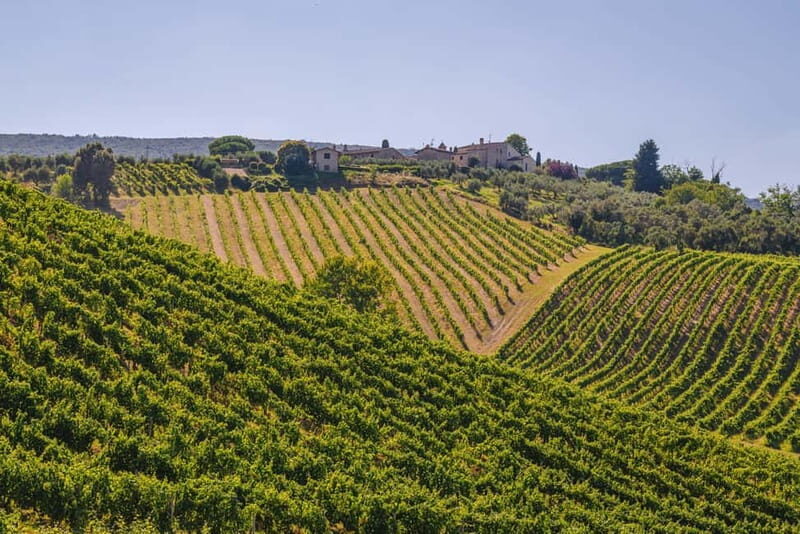 "Santa Chiara" wine tasting - Palagetto winery - What Is the Santa Chiara Wine Tasting at Palagetto?