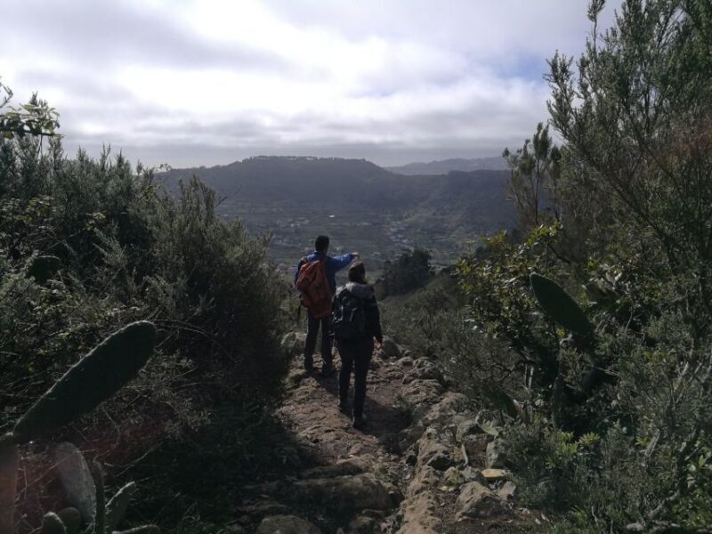 Santa Cruz de Tenerife: 2-Hour Hiking Tour in Anaga Forest - Final Thoughts