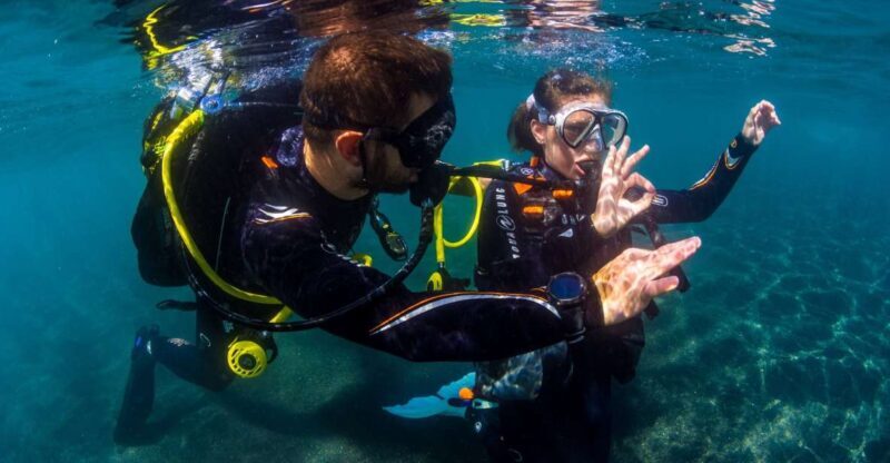 Santa Cruz de Tenerife: Beginner's Diving & Introduction - FAQ
