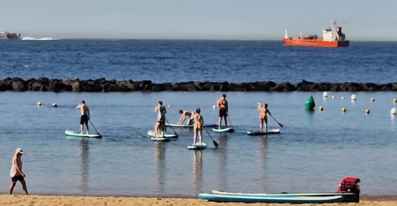 Santa Cruz de Tenerife: Las Teresitas Stand Up Paddle Course - Key Points