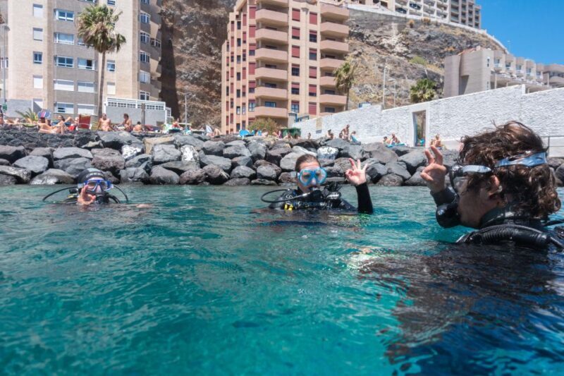 Santa Cruz de Tenerife: PADI Introductory Dive - Timing and Logistics