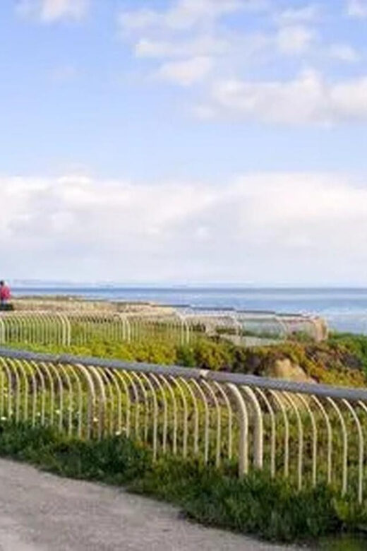 Santa Cruz: Guided eBike Tour - An In-Depth Look at the Santa Cruz eBike Experience