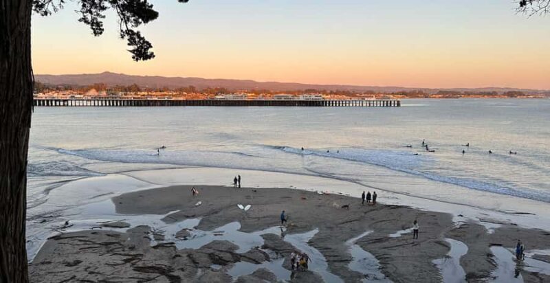 Santa Cruz: Surf History and Culture Walking Tour - Marine Life and the Environment