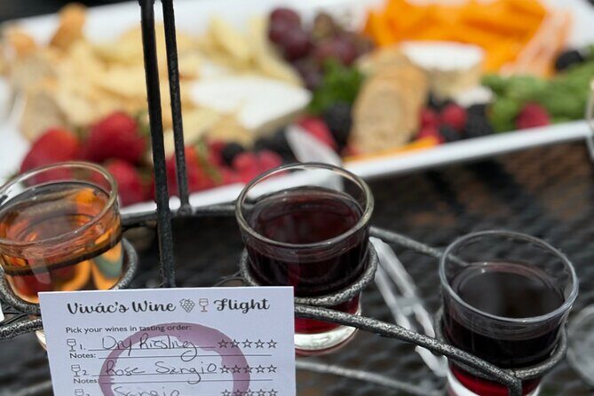 Santa Fe Day trip to Northern New Mexico Wine Country - Vivác Winery: The High-Elevation Highlight