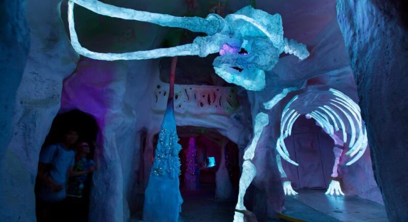 Santa Fe: Meow Wolf The House of Eternal Return Ticket - Practical Tips for Visitors