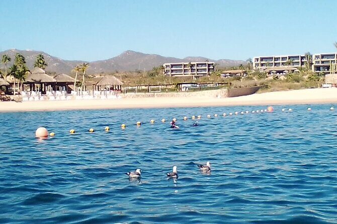 Santa Maria and Chileno Bay Snorkel Adventure Los Cabos - The Value of the Tour