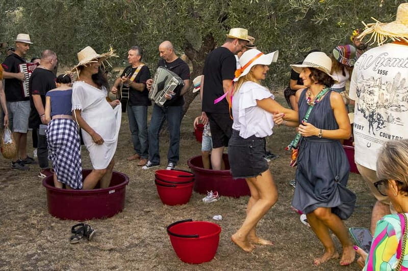 Santa Maria Imbaro: Grape Harvest with Pressing + Picnic among olive trees and vineyards - An In-Depth Look at the Experience