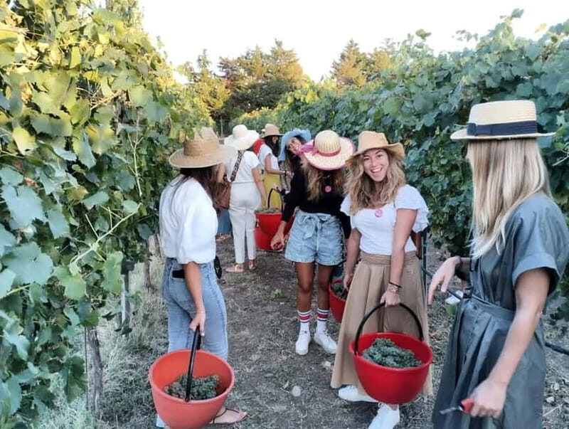 Santa Maria Imbaro: Grape Harvest with Pressing + Picnic among olive trees and vineyards - FAQs