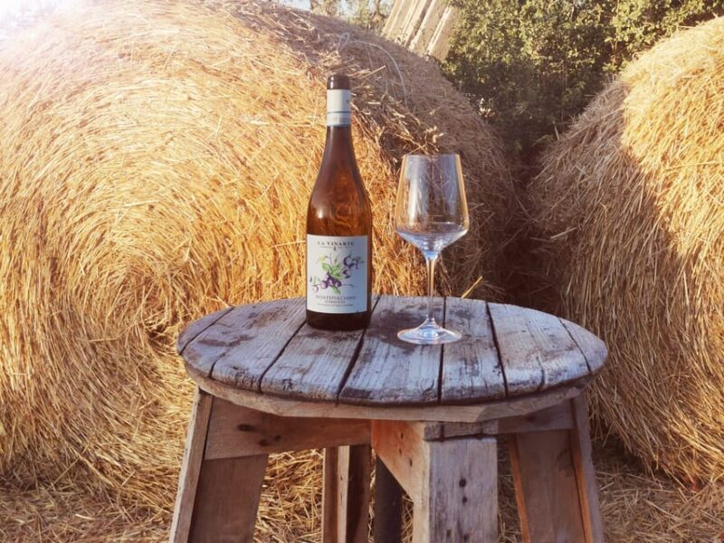 Santa Maria Imbaro: La Vinarte Wine tour - FAQ