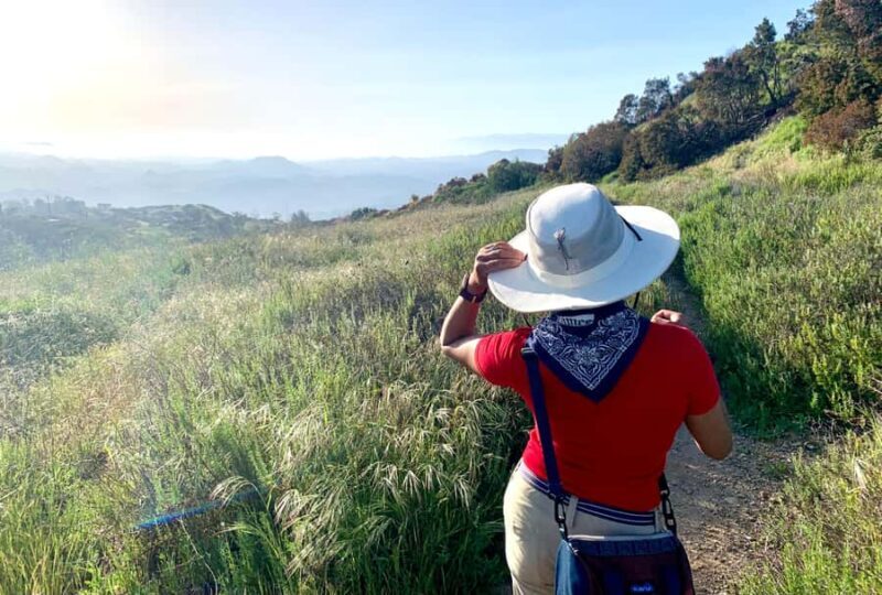 Santa Monica Mountains: Guided Hike Above Pacific Ocean - Key Points