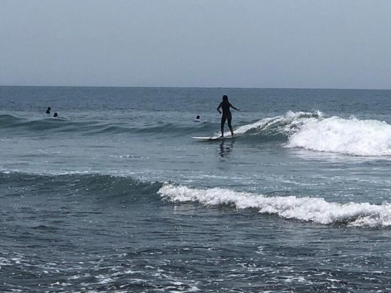 Santa Monica: Surfing Day Trip with Lunch - Who Will Love This Tour?