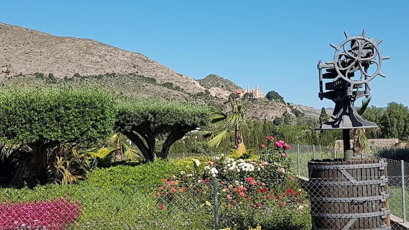 Santa Pola, Gran Alacan, Urbanova: Guided Wine Tasting Tour - Final Thoughts: Who Should Book This Tour?