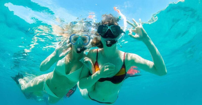 Santa Ponsa: Snorkeling Tour in a Marine Reserve - Key Points