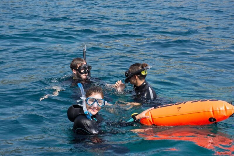 Santa Ponsa: Snorkeling Tour in a Marine Reserve - Who Will Love This Tour?