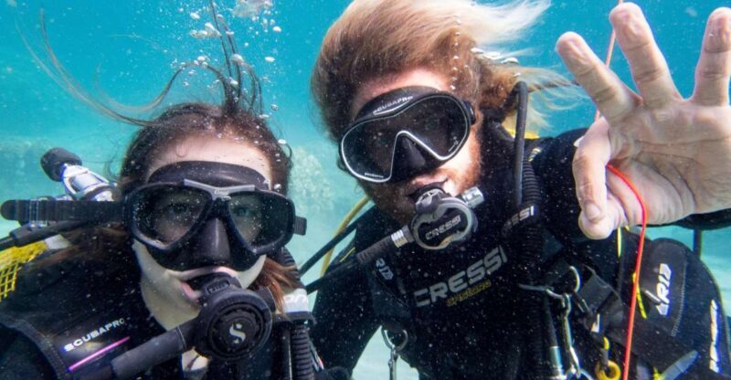 Santa Ponsa: Try Scuba Diving in a Marine Reserve - The Quality and Value of the Experience