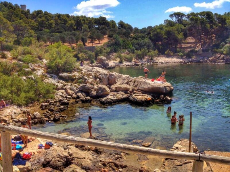 Santa Ponta/Peguera: Dragonera Island Cruise with Swim Stop - A Deep Dive into the Experience