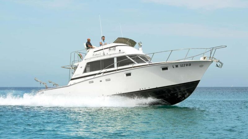 Santa Teresa: Speedboat tour around Lavezzi and Piana Island - Santa Teresa: Speedboat Tour around Lavezzi and Piana Island