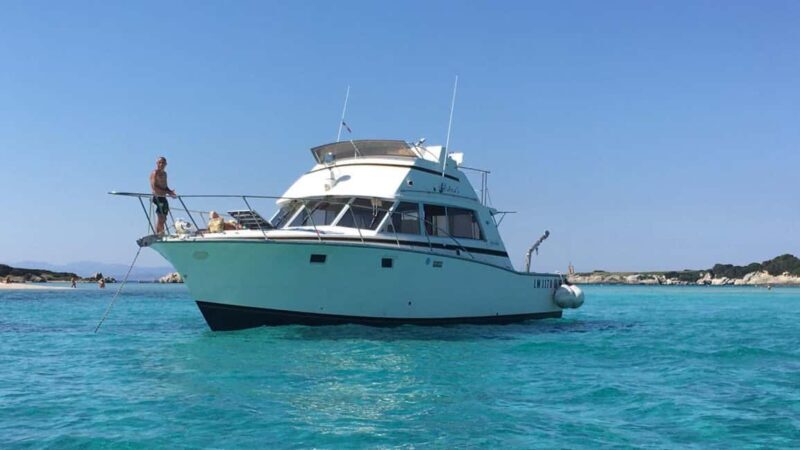 Santa Teresa: Speedboat tour around Lavezzi and Piana Island - Key Points