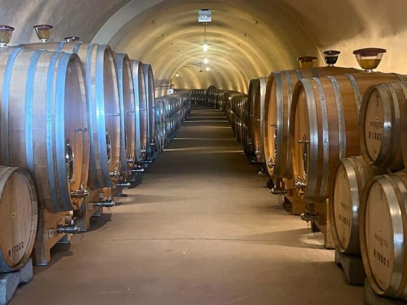 Santa Ynez 3-Winery Tour with Picnic Lunch & Tasting Fees - Who Will Love This Tour?