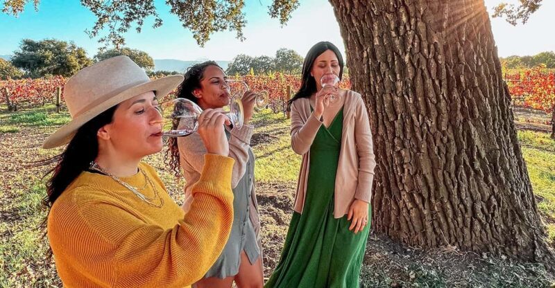 Santa Ynez: Private Wine Tour - Key Points
