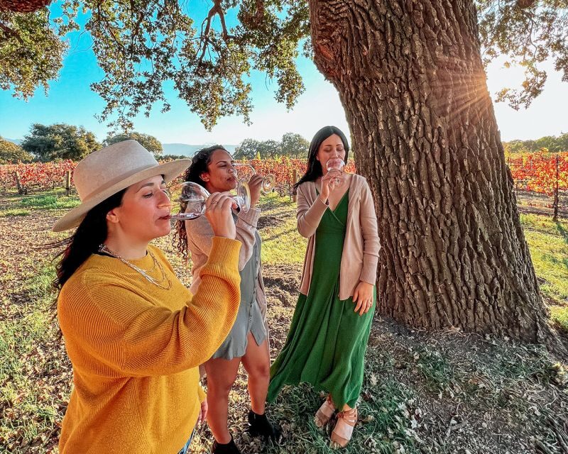 Santa Ynez: Wine Country Tour - Who Is This Tour Best For?