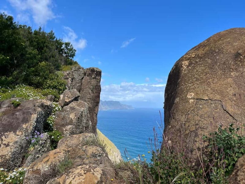 Santana: 4x4 Full-Day Tour to Northeast of Madeira Island - Discover Madeiras Northeast: A 4x4 Full-Day Tour Full of Natural Beauty and Cultural Charm