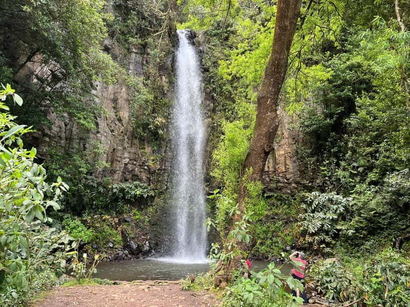 Santana: 4x4 Full-Day Tour to Northeast of Madeira Island - Porto da Cruz and the Rum Experience