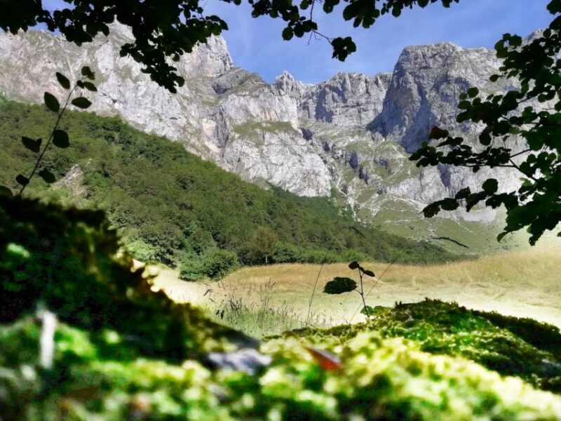Santander: Picos, Santo Toribio Monastery and Potes Day Tour - The Sum Up: Is It Worth It?
