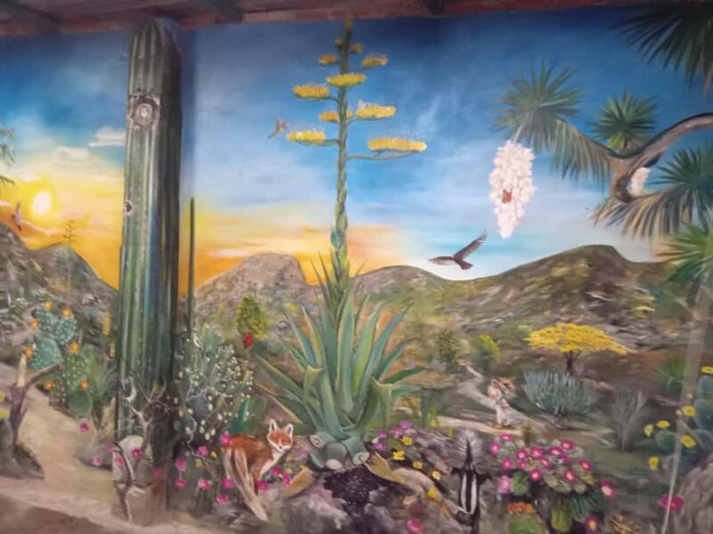 Santiago de Anaya, Hidalgo: Food tour. Experience among stoves. - Whats Included and Whats Not