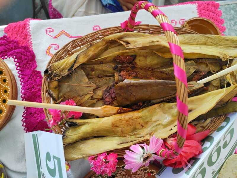 Santiago de Anaya, Hidalgo: Food tour. Experience among stoves. - Practical Tips for Participants