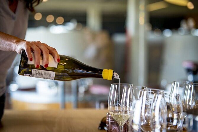 Santiago de Compostela: Cheese and Wine Tasting Experience - Why This Tour Works Well