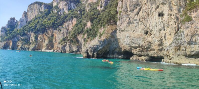 Santoña: Anchovy Factory Tour and Boat Trip - Practical Details: What You Should Know