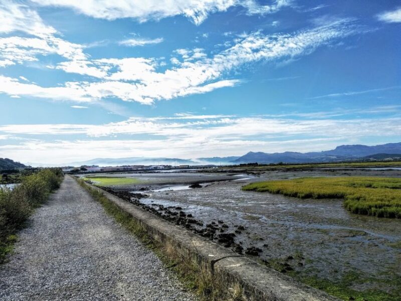 Santona: Canning Factory and the Marshes Tour with Tasting - An In-Depth Look at the Tour Experience