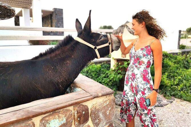 Santorini 4 hours Private Tour : Visit all the hotspots - A Guided Private Peek into Santorini’s Top Sights