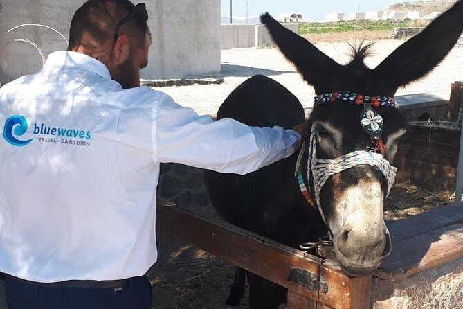 Santorini 4 hours Private Tour : Visit all the hotspots - The Sum Up: Is It Worth It?