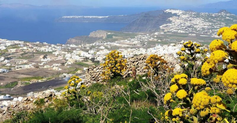 Santorini: 4hr Private Accessible Panoramic Views Tour - Whats Included & Practical Details