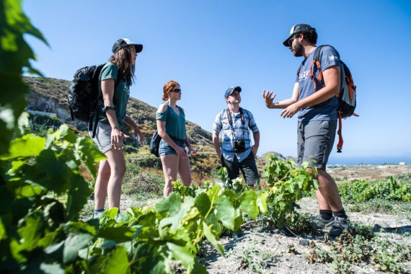 Santorini: Cooking Class and Easy Hike - Final Thoughts
