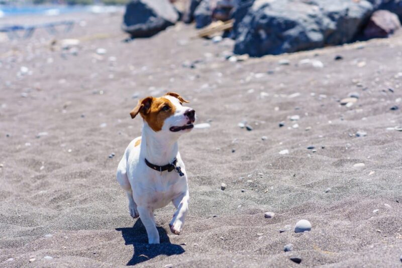 Santorini: Customized Private Guided Tour in a Mercedes EQB - The Practicalities: What to Expect