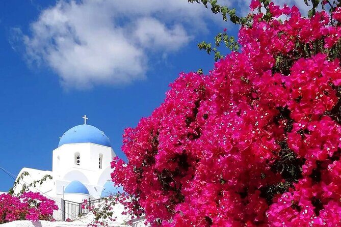 Santorini Delights: A Cruise Passenger's Dream Day - Santorini Delights: A Cruise Passengers Dream Day